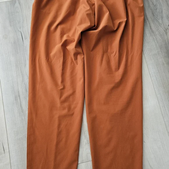 Stylish Rust Pants - Picture 5 of 5